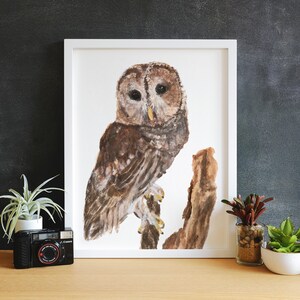 May include: A watercolor painting of a brown and gray owl perched on a branch. The owl has large, dark eyes and a feathery head.