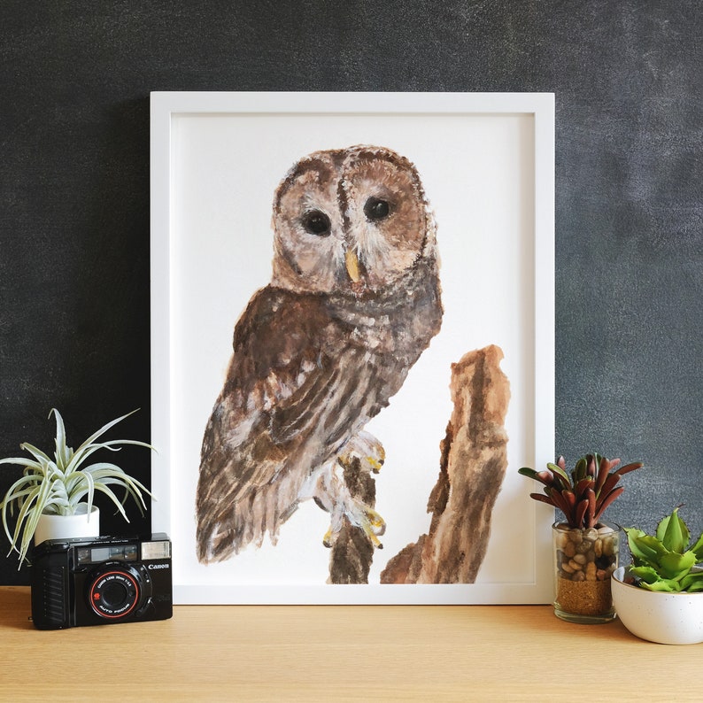 May include: A watercolor painting of a brown and gray owl perched on a branch. The owl has large, dark eyes and a feathery head.