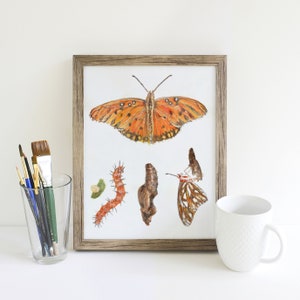 Gulf Fritillary Butterfly Life Cycle Giclee Print Created From The Original Watercolor Painting By Artist Joy Neasley image 7