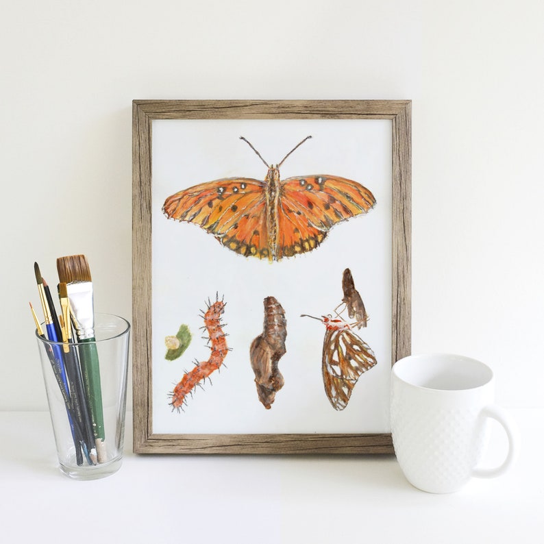 Gulf Fritillary Butterfly Life Cycle Giclee Print Created From The Original Watercolor Painting By Artist Joy Neasley image 7