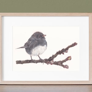Dark Eyed Junco Sparrow Bird Giclee Fine Art Print from original watercolor nature inspired wildlife painting by Joy Neasley