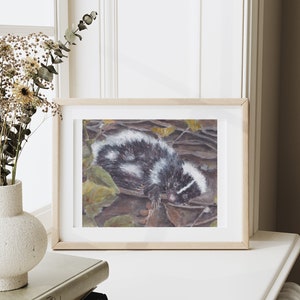 Original Watercolor Painting: Moonbeam The Whimsical Woodland Skunk , 10 x 8 Size image 6