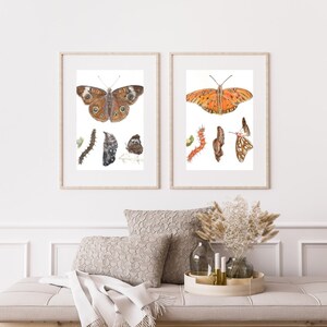 Gulf Fritillary Butterfly Life Cycle Giclee Print Created From The Original Watercolor Painting By Artist Joy Neasley image 5
