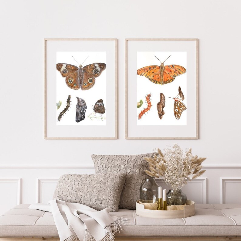 Gulf Fritillary Butterfly Life Cycle Giclee Print Created From The Original Watercolor Painting By Artist Joy Neasley image 5