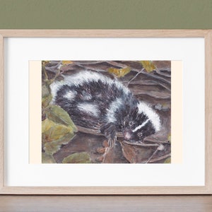 Original Watercolor Painting: Moonbeam The Whimsical Woodland Skunk , 10 x 8 Size image 1