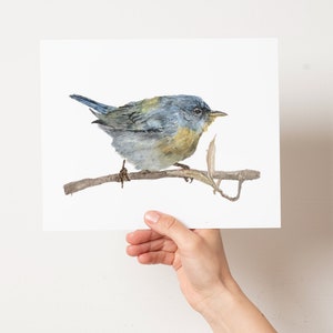 May include: Watercolor painting of a small blue bird perched on a branch. The bird has a yellow breast and a gray back. The branch is brown and has a few green leaves.