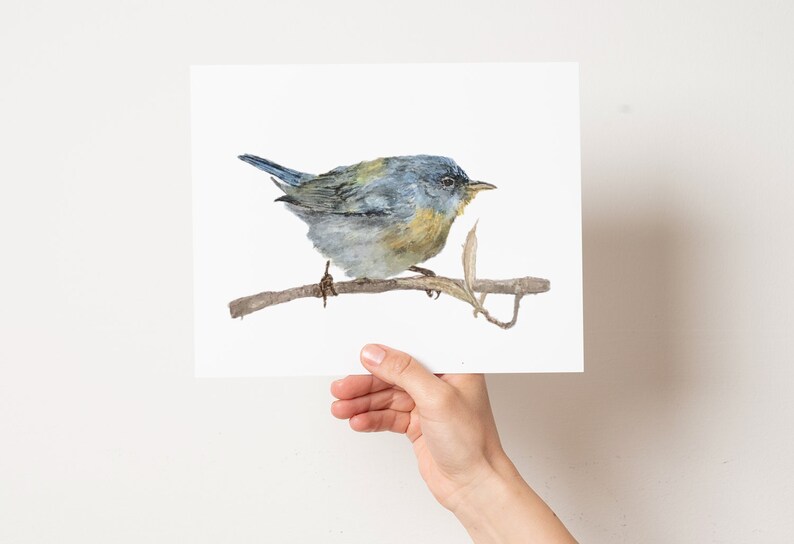 May include: Watercolor painting of a small blue bird perched on a branch. The bird has a yellow breast and a gray back. The branch is brown and has a few green leaves.