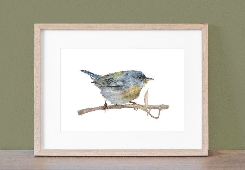 May include: Watercolor painting of a small blue bird perched on a branch. The bird has a yellow breast and is painted in a realistic style.
