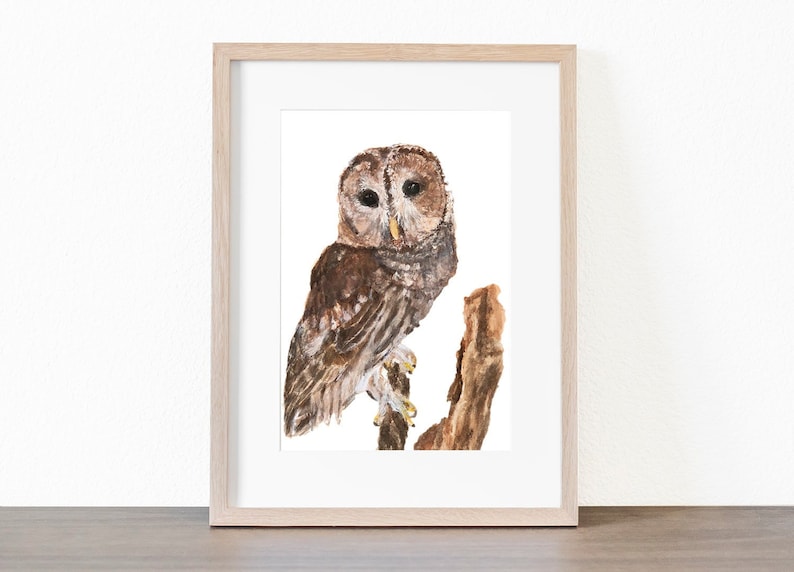 May include: A watercolor painting of a brown and white owl perched on a branch. The owl has large, round eyes and a feathery head.