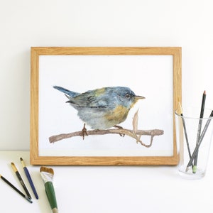 May include: A watercolor painting of a small blue bird perched on a branch. The bird has a yellow breast and is painted in a realistic style.