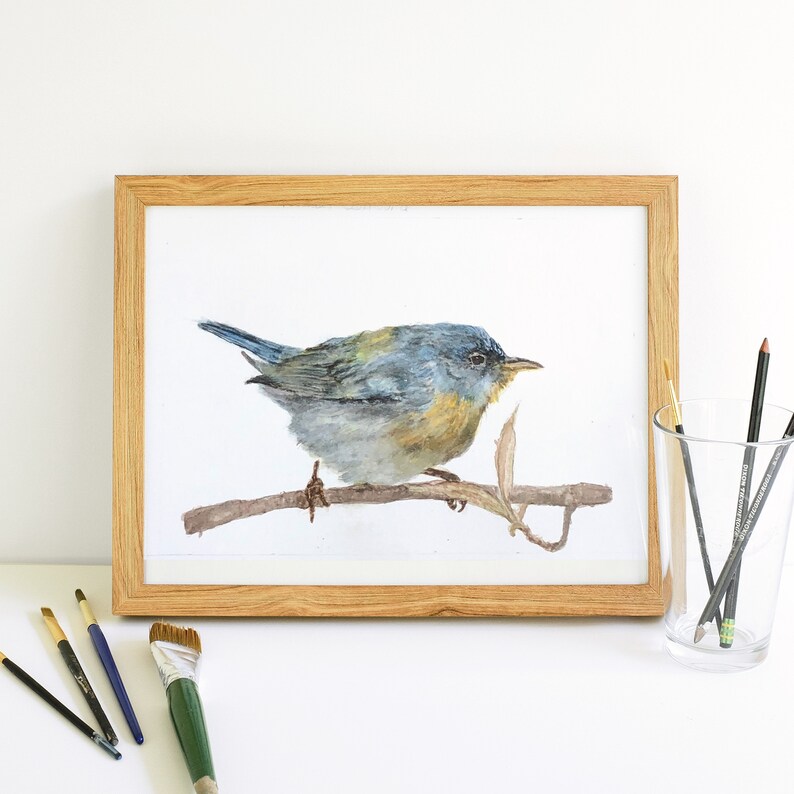 May include: A watercolor painting of a small blue bird perched on a branch. The bird has a yellow breast and is painted in a realistic style.
