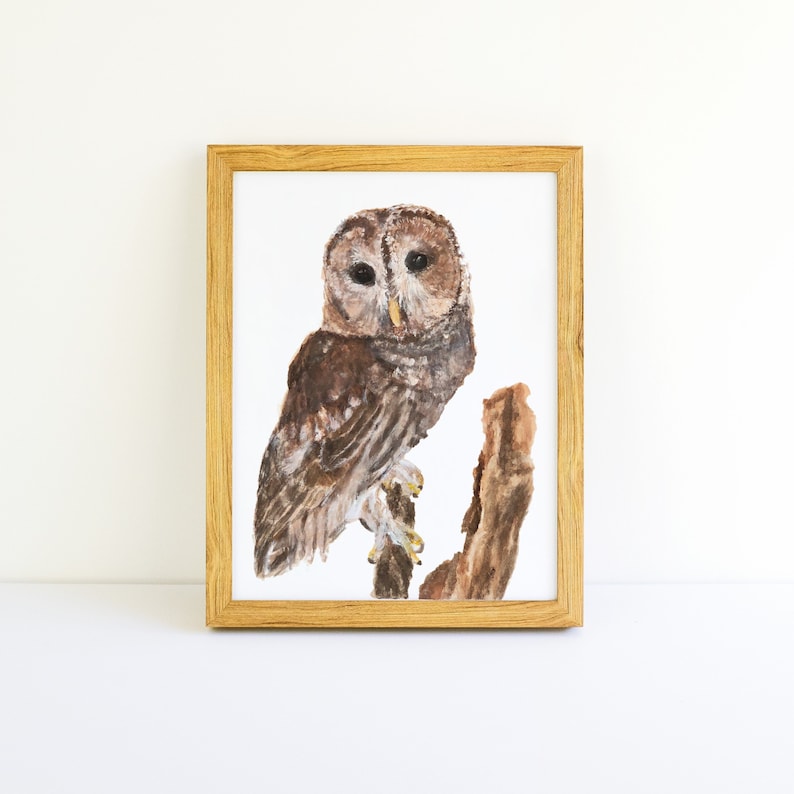 May include: A framed watercolor painting of a brown and gray owl perched on a branch. The owl has large, dark eyes and a detailed feather pattern.