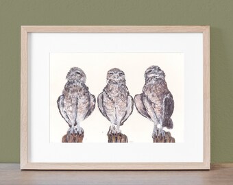 Original Painting:  Burrowing Owls Three Hand-painted Watercolor Wall Art