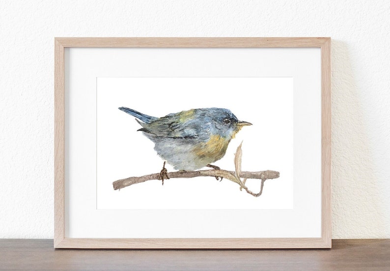 May include: Watercolor painting of a blue and yellow bird perched on a branch. The bird has a blue head and back, a yellow breast, and a long tail. The branch is brown and has a few leaves.