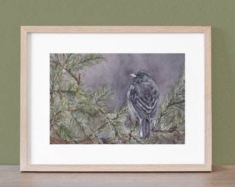 Original Hand-painted Watercolor: Dark-Eyed Junco Sparrow, Serenity at Sunrise, 10" x 8"