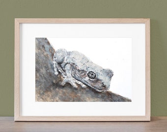 Copes Gray Tree Frog original watercolor wildlife painting by artist Joy Neasley 7"X5"