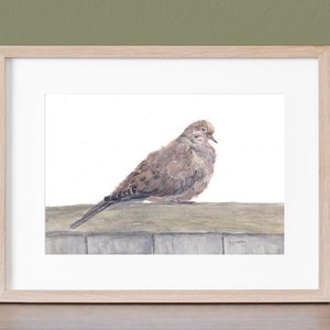 Mourning Dove Watercolor Giclee Fine Art Print by artist Joy Neasley