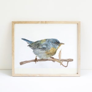 May include: Watercolor painting of a blue and yellow bird perched on a branch. The bird is facing to the right and has a long, thin beak. The background is white.