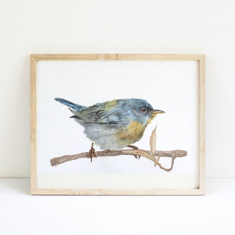 May include: Watercolor painting of a blue and yellow bird perched on a branch. The bird is facing to the right and has a long, thin beak. The background is white.