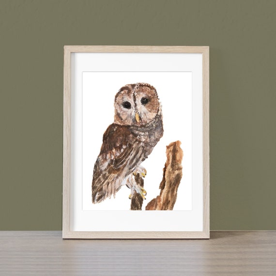 Barred Owl Giclee Print Created From The Original Watercolor Painting By Artist Joy Neasley