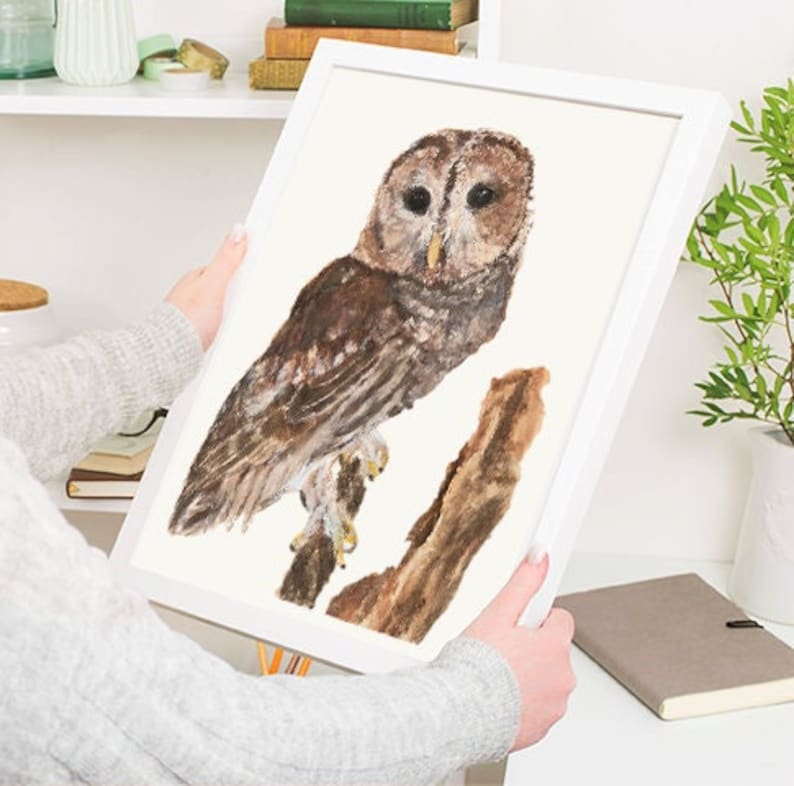 May include: A watercolor painting of a brown and gray owl perched on a branch. The owl has large, round eyes and a sharp beak. The painting is framed in a white frame.
