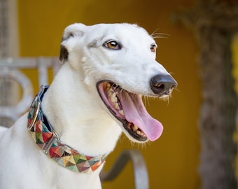 Harlekijn martingaalhalsband, windhond, Whippet, Lurcher, Saluki. Etnische martingaal, windhond, brede halsbanden, alle rassen