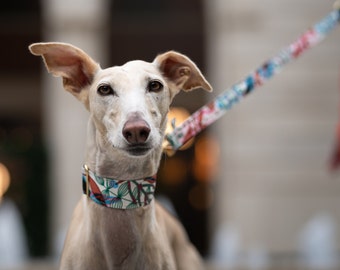 Summer Boho Martingale Collar, Greyhound, Whippet, Lurcher, Saluki, Boho Martingale, Sighthound, collares anchos, todas las razas