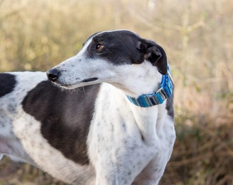 Lapis Blue Bedouin Martingale Dog Collar: Sighthound, Greyhound, Whippet, Saluki, Galgo, Deerhound