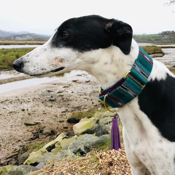 Oasis Green Martingale Dog Collar: Ethnic Bedouin Sighthound Collar, Greyhound, Whippet, Saluki, Galgo