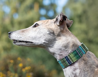 Rainforest Bedouin Martingale Collar, Greyhound, Whippet, Lurcher, Saluki. Martingala Étnica, Lebreles, cuellos anchos, Todas las Razas