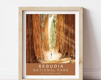 Sequoia nationalpark-affisch 20x25 cm