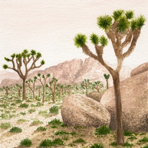 Joshua Tree National Park Landscape Watercolor Painting Art Print