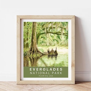 Everglades National Park Poster 8x10”
