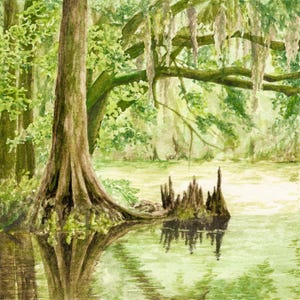 Everglades National Park Watercolor Print