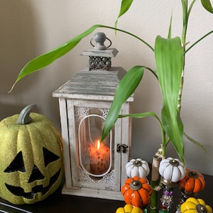 May include: A white lantern with a lit candle inside, a green pumpkin with a jack-o'-lantern face, and a bamboo plant with colorful pumpkin-shaped knobs.