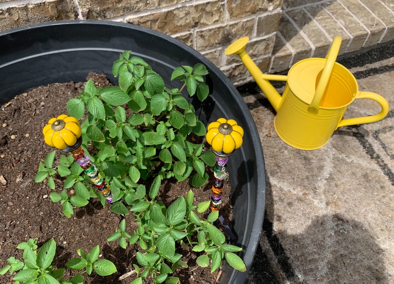 May include: A black plastic planter with a green plant growing in it. Two yellow ceramic flower-shaped garden stakes are in the soil. A yellow watering can is on the ground next to the planter.