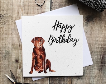 Happy Birthday Labrador Card - Dog Card - Chocolate Labrador