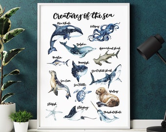 Estampado de criaturas marinas - Colección océano - Estampado de vida marina