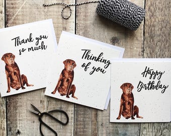 May include: Three greeting cards with a brown dog illustration on each. The cards have the following text: "Thank you so much", "Thinking of you", and "Happy Birthday".