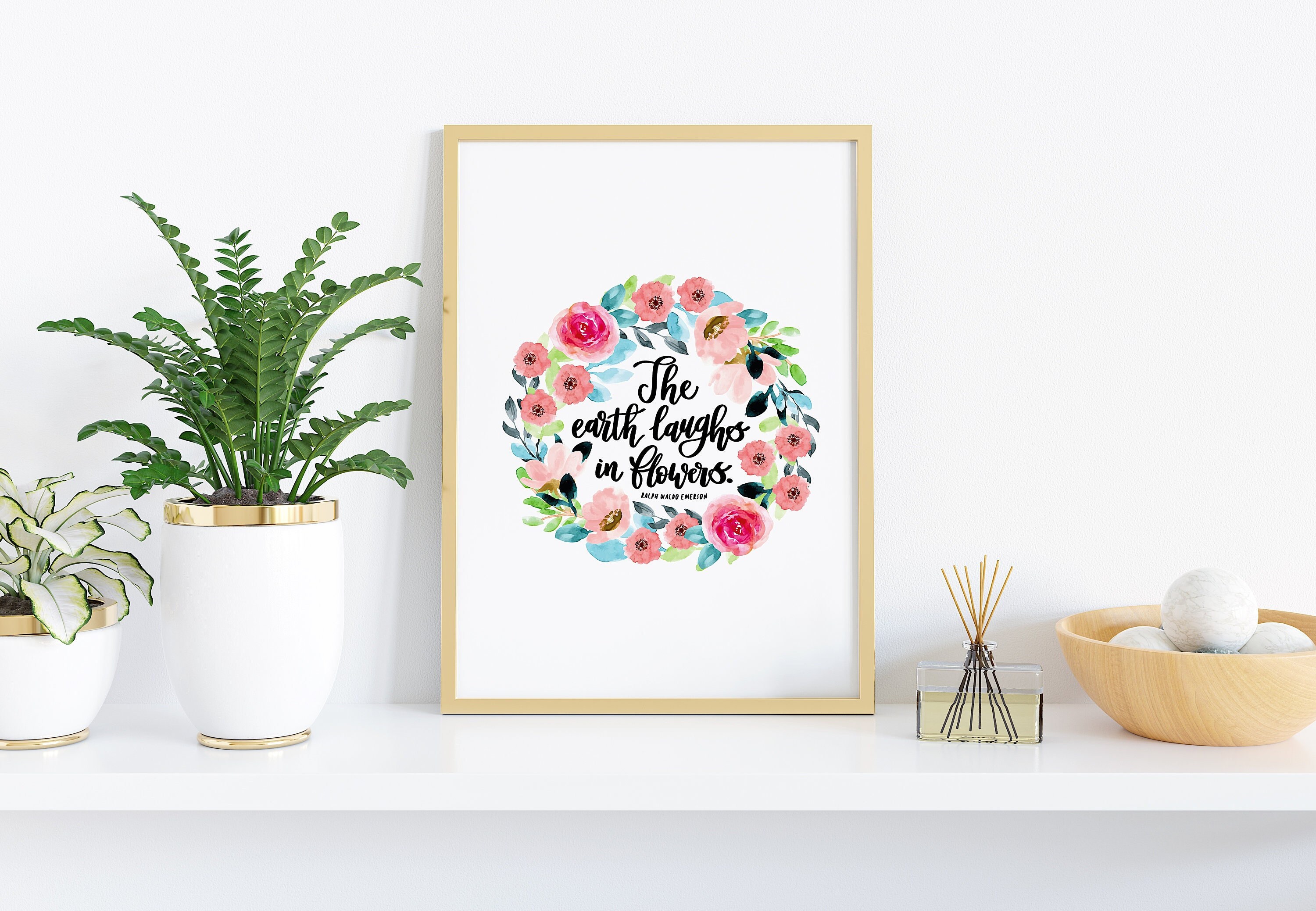 Uncommon Kitchens with Sophie Donelson, image size:3000x2077