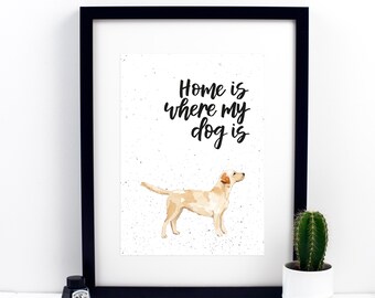 May include: A framed print with a white background and black text that reads "Home is where my dog is". A watercolor illustration of a yellow labrador retriever is to the right of the text.