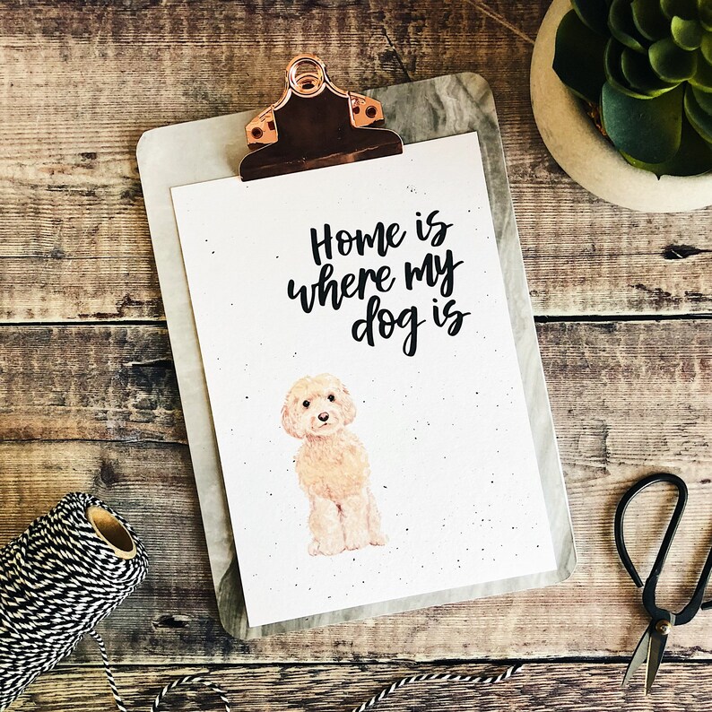Home Is Where My Dog Is Cockerpoo Print