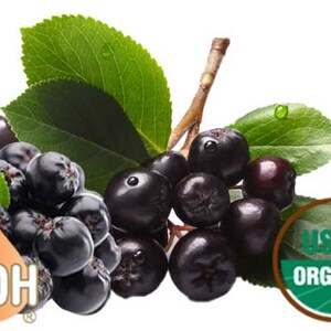 Puede incluir: Un racimo de ar&aacute;ndanos negros org&aacute;nicos de color p&uacute;rpura oscuro con hojas verdes. Las bayas est&aacute;n agrupadas y tienen un acabado brillante y lustroso. El sello USDA Organic es visible en la esquina inferior derecha de la imagen.