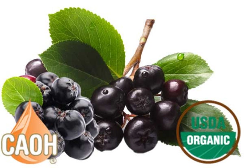 Puede incluir: Un racimo de ar&aacute;ndanos negros org&aacute;nicos de color p&uacute;rpura oscuro con hojas verdes. Las bayas est&aacute;n agrupadas y tienen un acabado brillante y lustroso. El sello USDA Organic es visible en la esquina inferior derecha de la imagen.