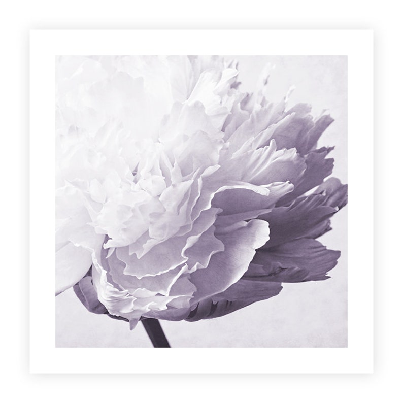 Pfingstrose Wandkunst Lavendel lila Wand-Dekor Set von 3 | Etsy