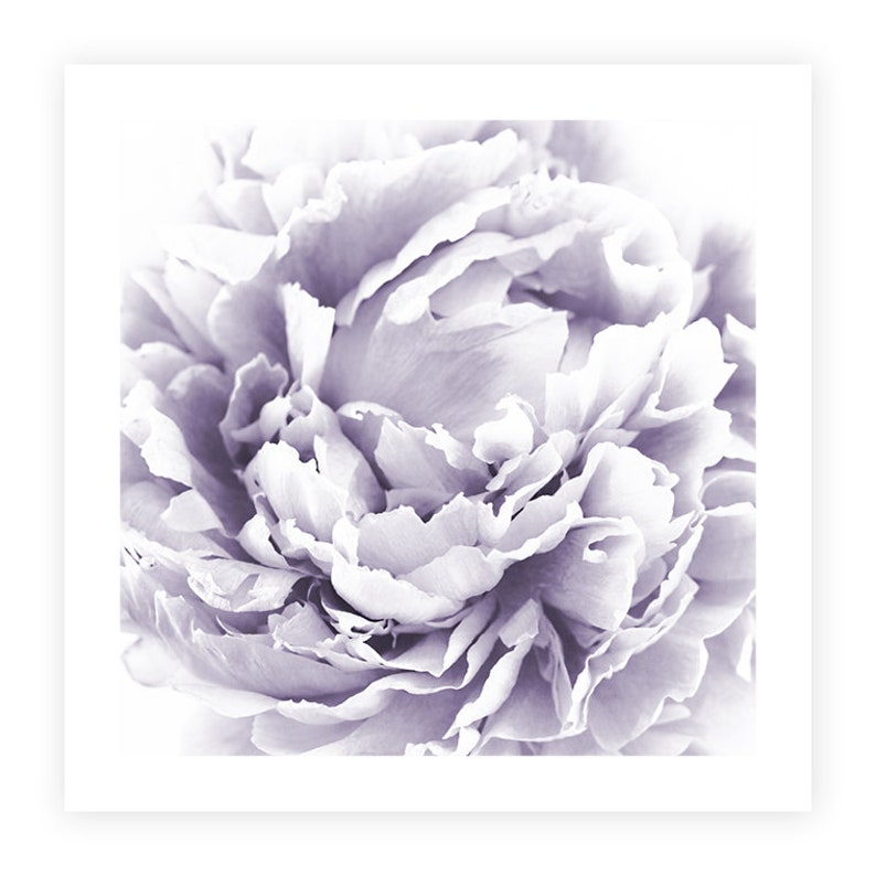 Pfingstrose Wandkunst Lavendel lila Wand-Dekor Set von 3 | Etsy