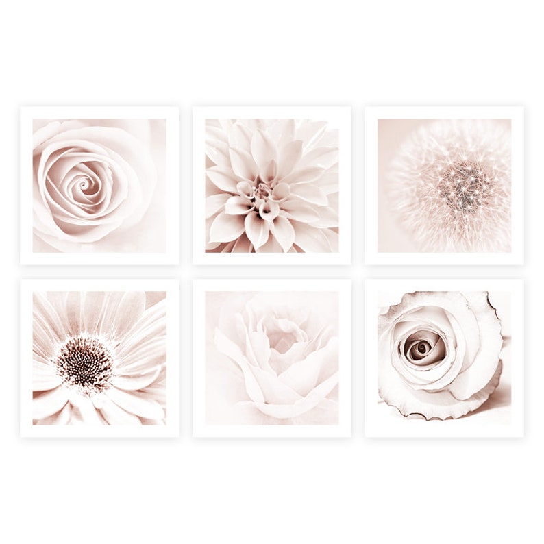 Blush Pink Shabby Chic Bathroom Wall Art Decor Floral Artwork Etsy
