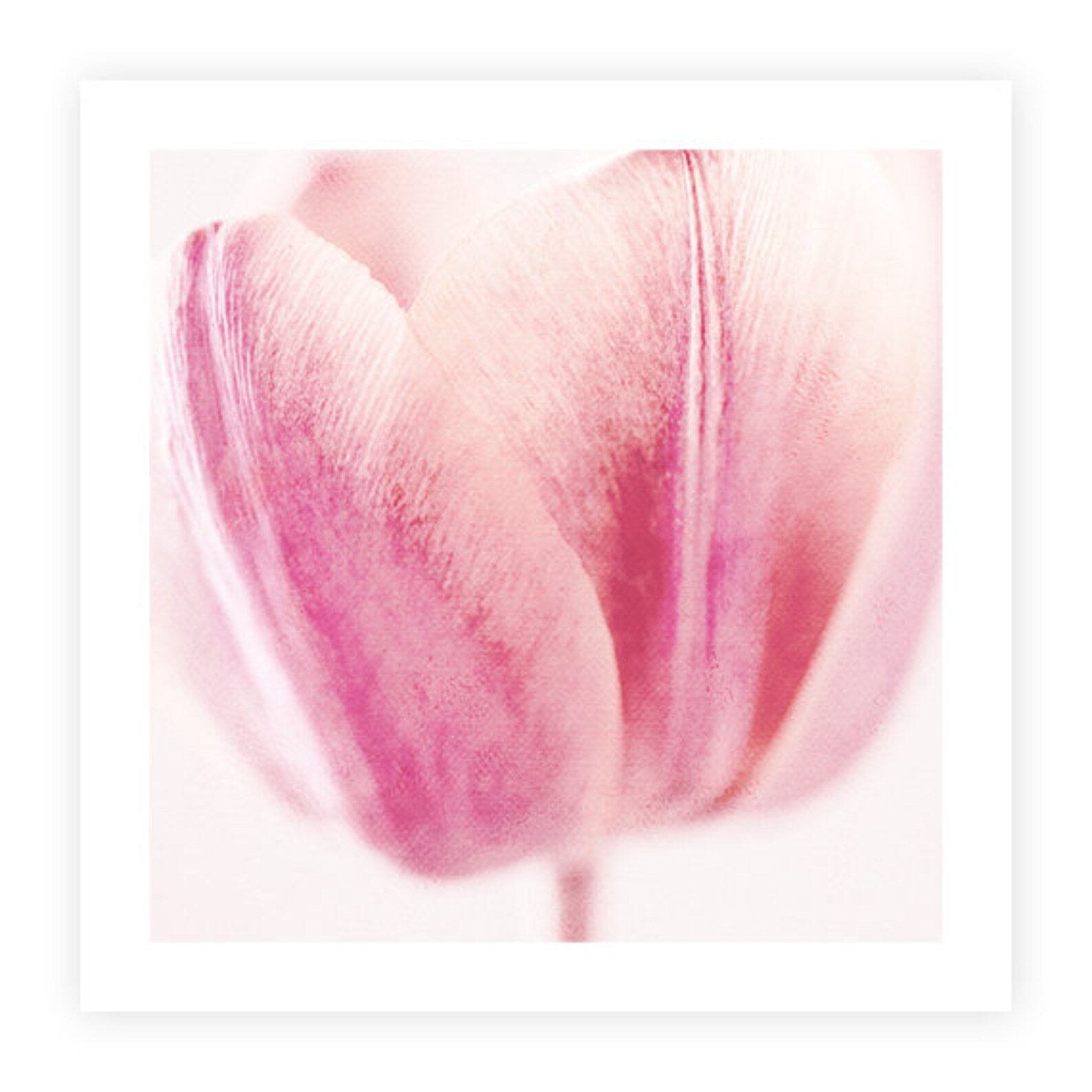 Rosa Floral Tulpe Kunstwerk Drucke Set von 2 Stück abstrakte | Etsy