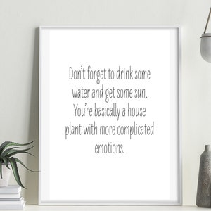May include: A white framed print with a motivational quote: "Don't forget to drink some water and get some sun. You're basically a house plant with more complicated emotions."