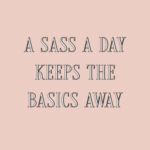 K&ouml;nnte beinhalten: Ein rosa Hintergrund mit einem schwarzen und wei&szlig;en Text&uuml;berlagerung, der "A sass a day keeps the basics away." lautet.